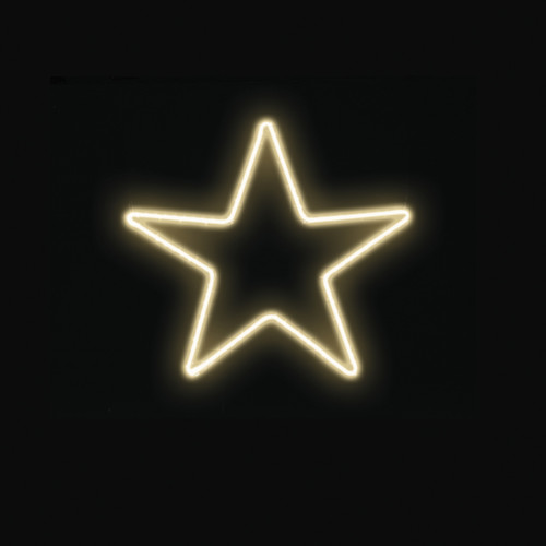 Decorazione luminosa Stella - 