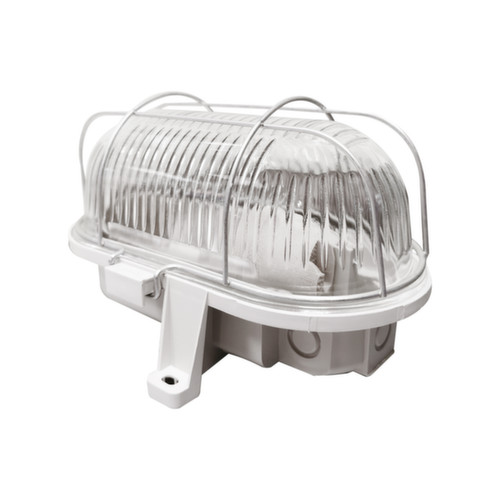 Plafoniera ovale 100W - 